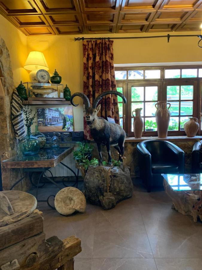 Hotel Mirasierra Coto Rios