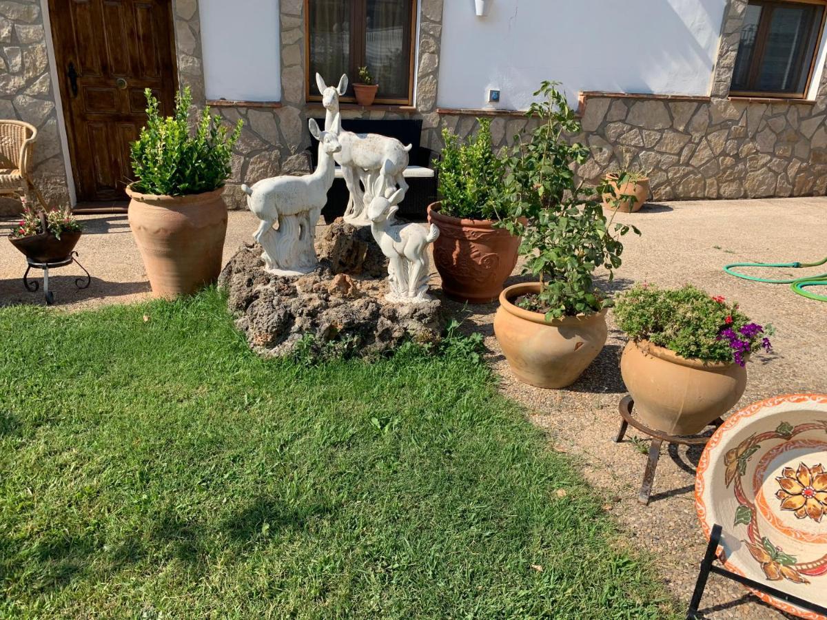 Hotel Mirasierra Coto Rios